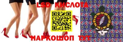шишки Сланцы