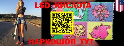 шишки Сланцы