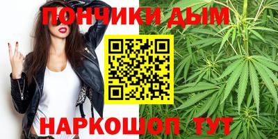 шишки Сланцы