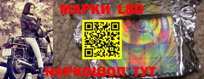 шишки Сланцы