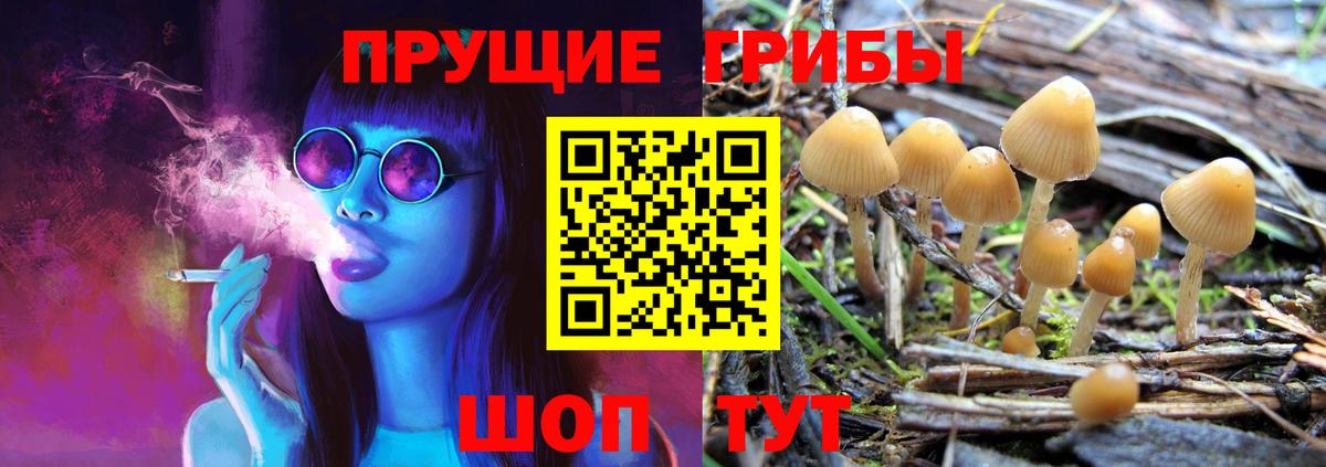 Псилоцибиновые грибы Psilocybe  Галлюциногенные грибы прущие грибы  Нефтекамск  Вход с VPN 